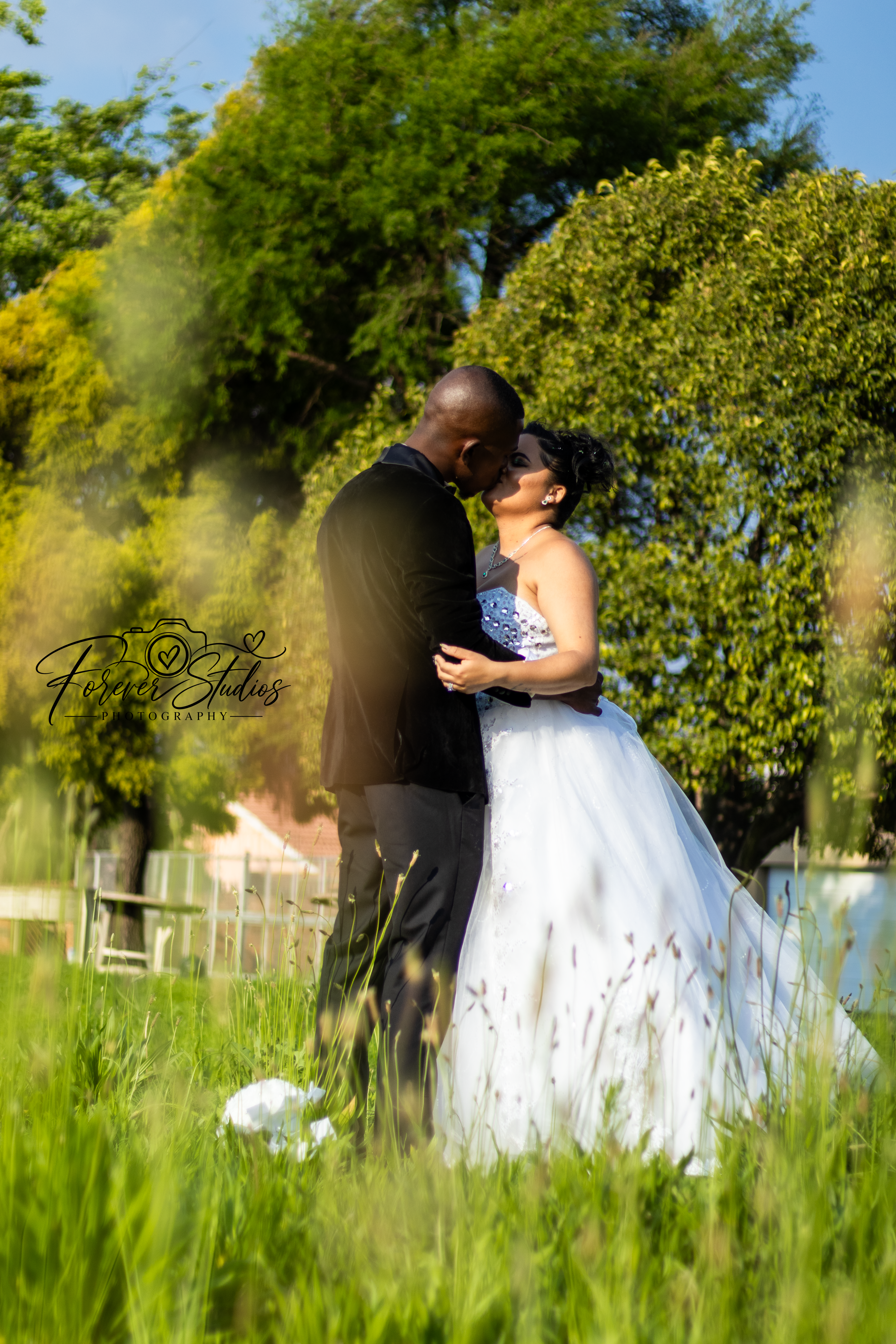 Couple kissing in sunlit tall grass