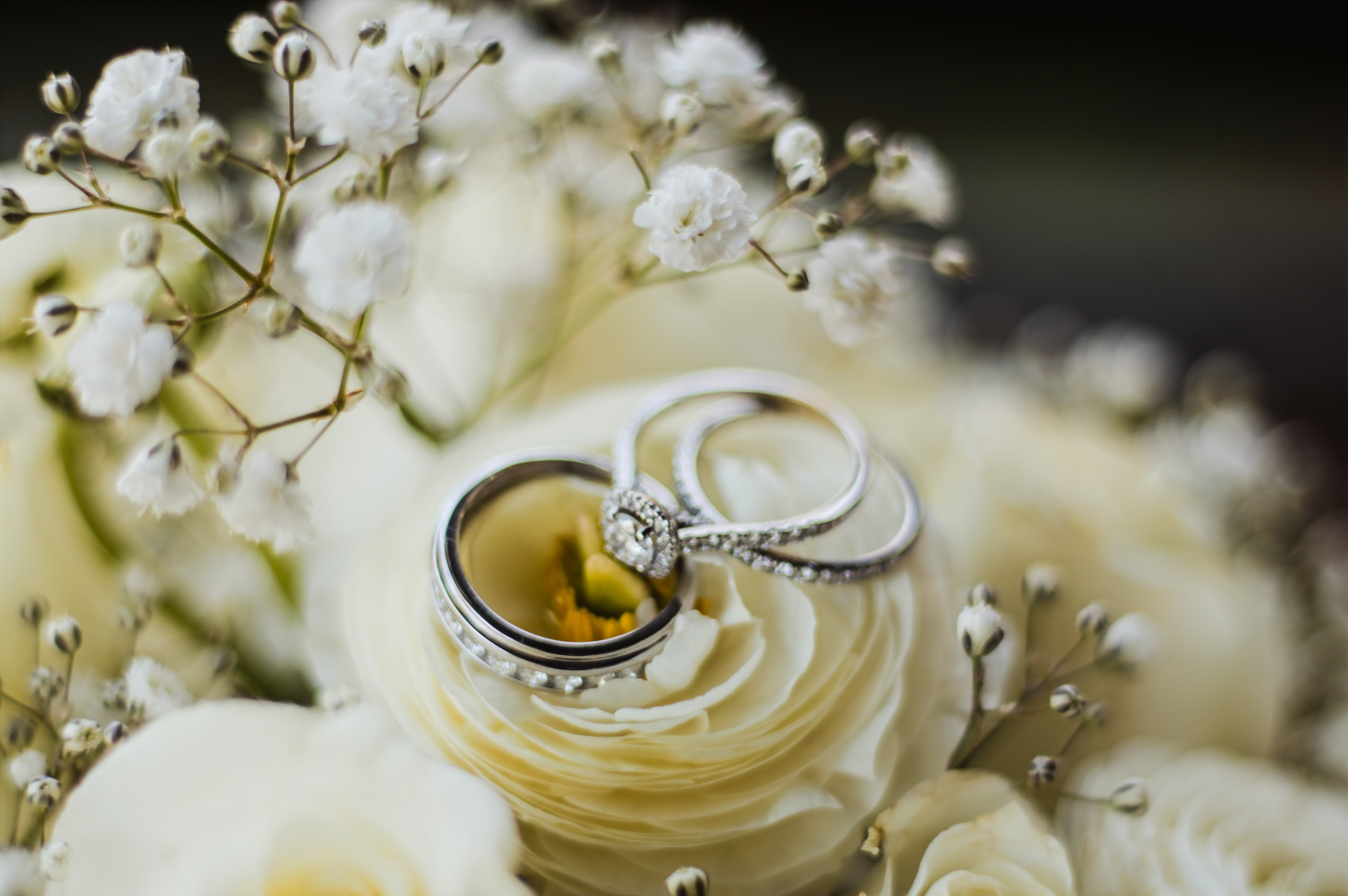 Wedding rings resting on a white ranunculus bloom